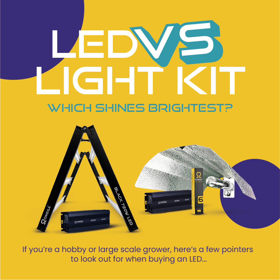 LED vs Light Kit: Which Shines Brightest?