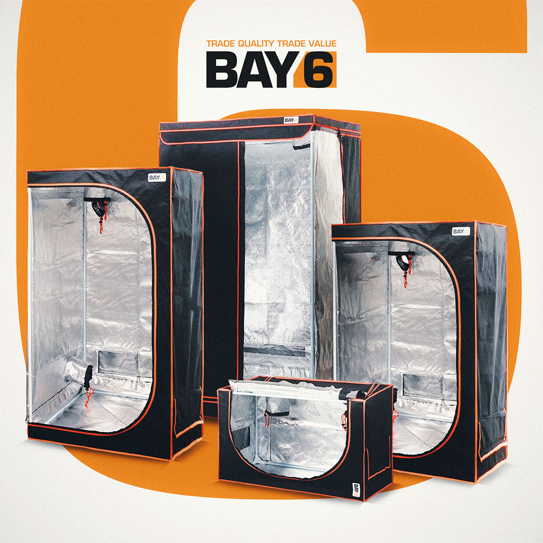 Save 15% on Selected BAY6 Grow Tents This August