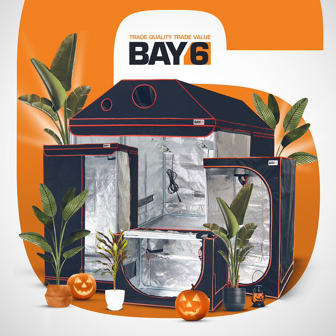 Huge October Savings on Bay6 Grow Tents