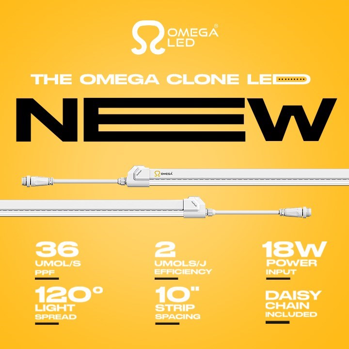 Light The Way With This Energy Efficient Industry Leader