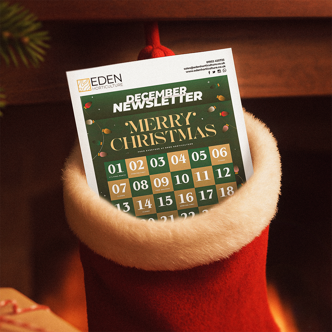 A Christmas-themed Eden Horticulture December Newsletter inside a Christmas Stocking.
