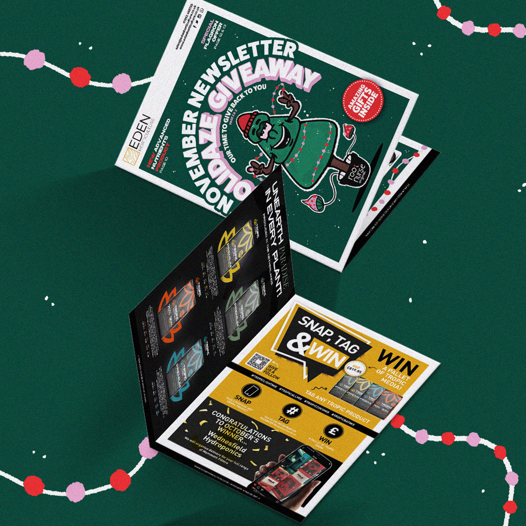 November Newsletter 🎁