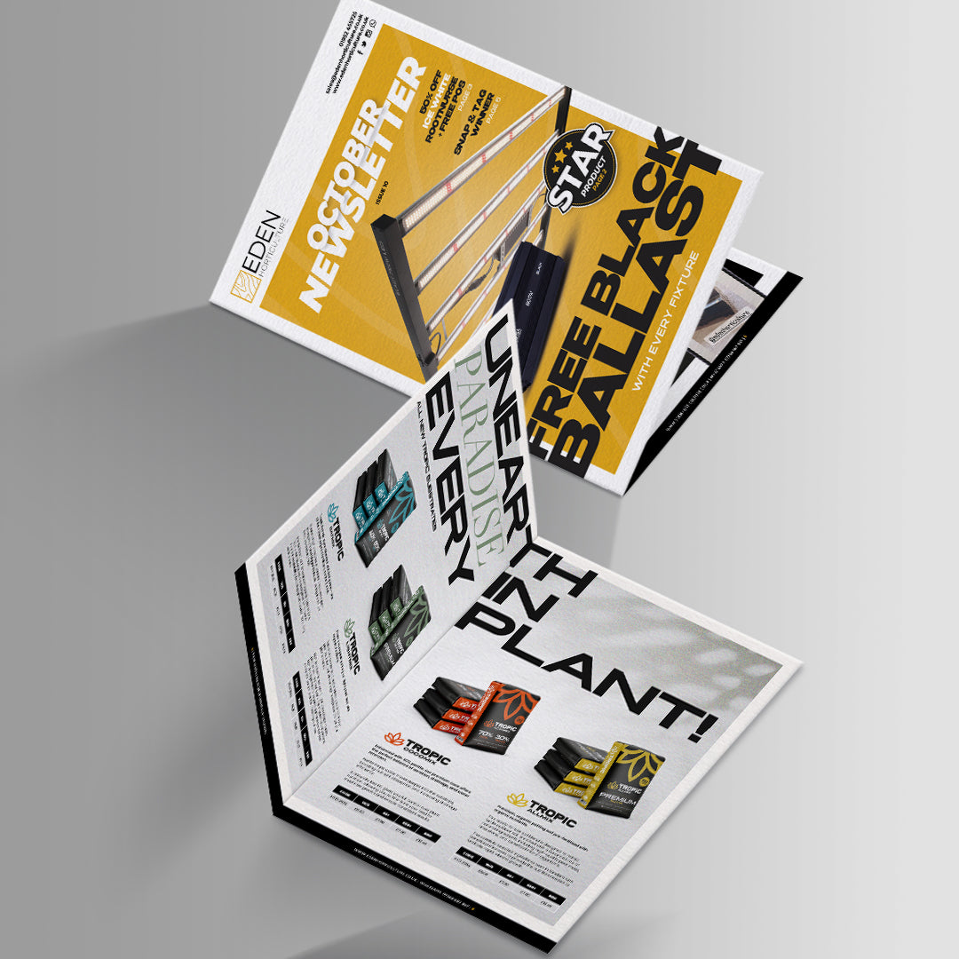 October Newsletter 🍂🎃