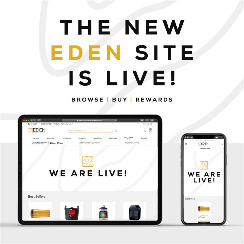 Welcome to Our New Website!