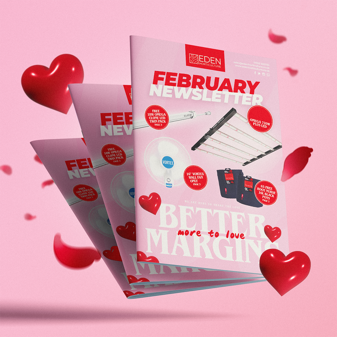 Valentine’s themed February Newsletter.