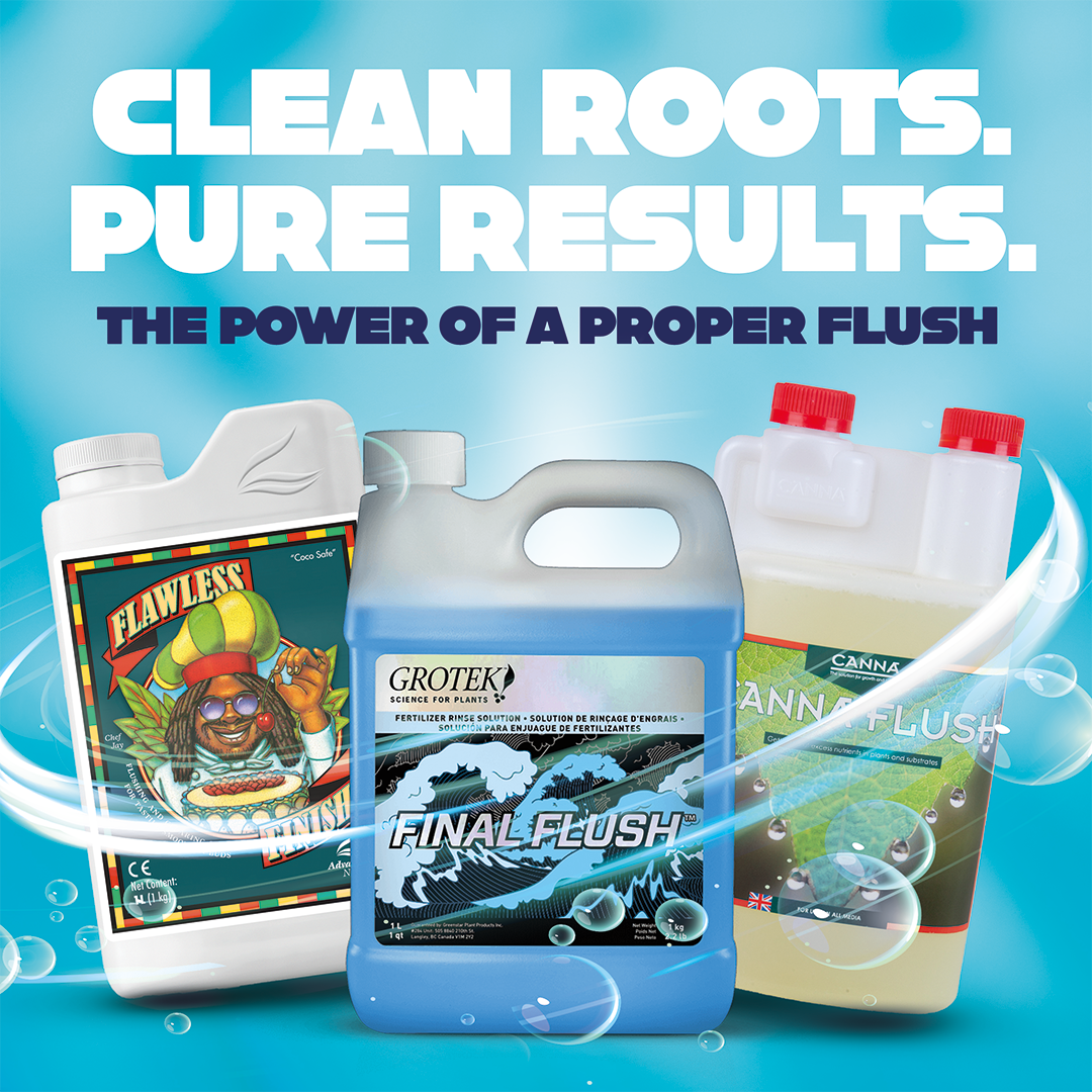 3 Bottles of Flush Product on a Blue Background with 'Clean Roots. Pure Results.' text.
