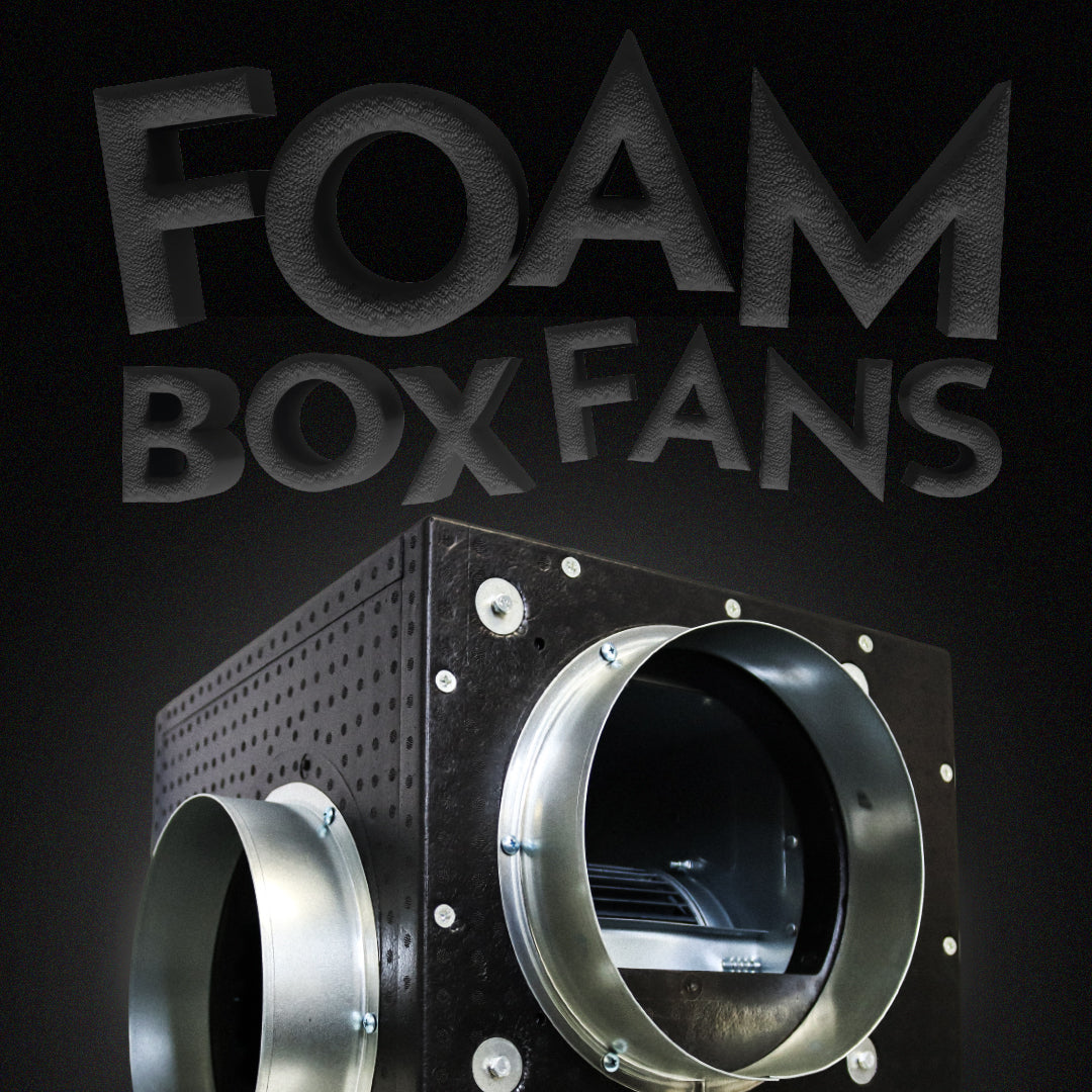 🦣 New Mammoth Foam Box Fans 🦣