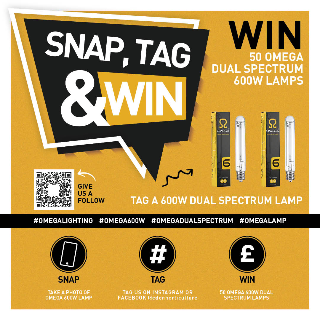 January's Snap Tag & Win