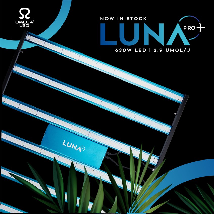 Omega luna deals