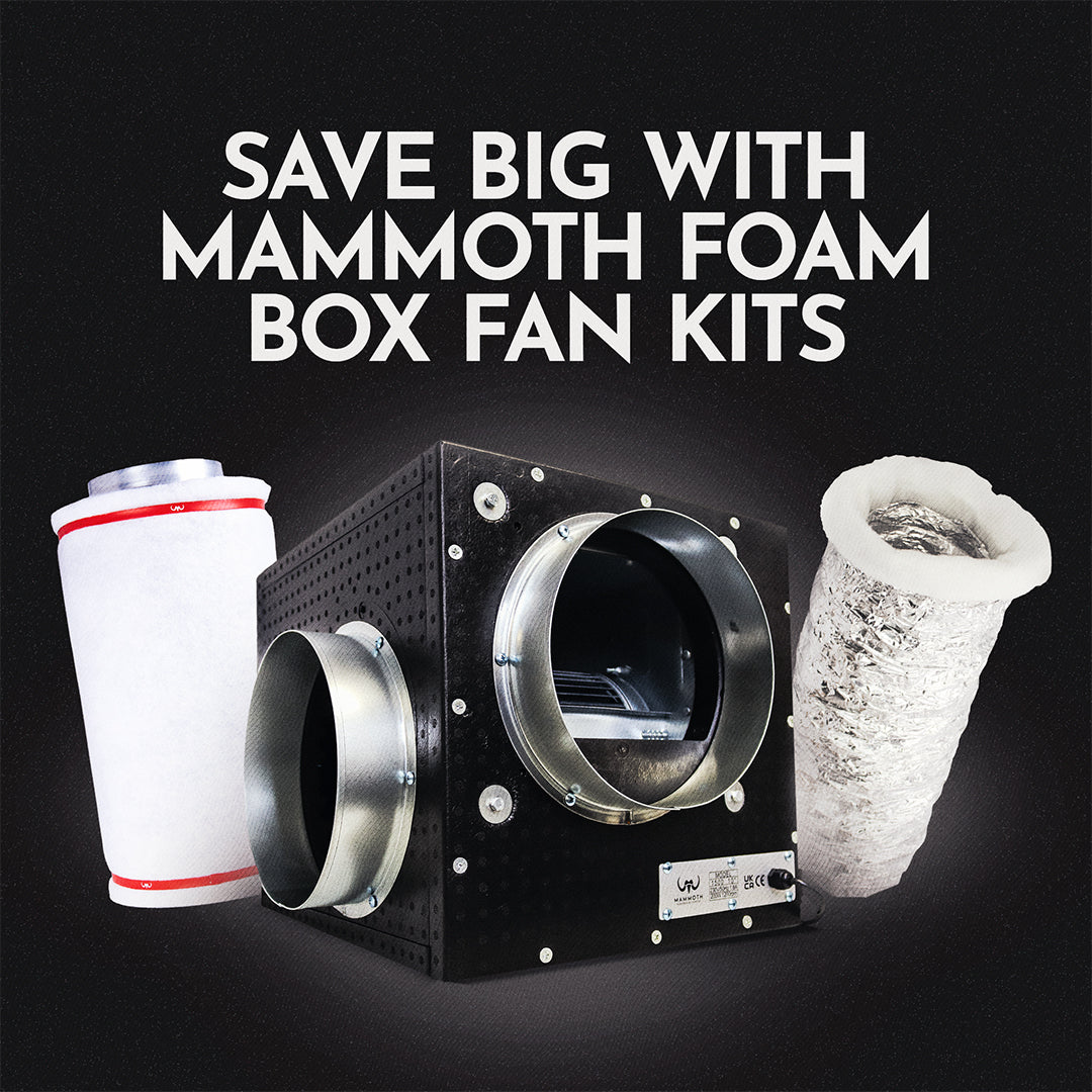 Mammoth Foam Extraction Kits - Built for Power, Packed for Performance
