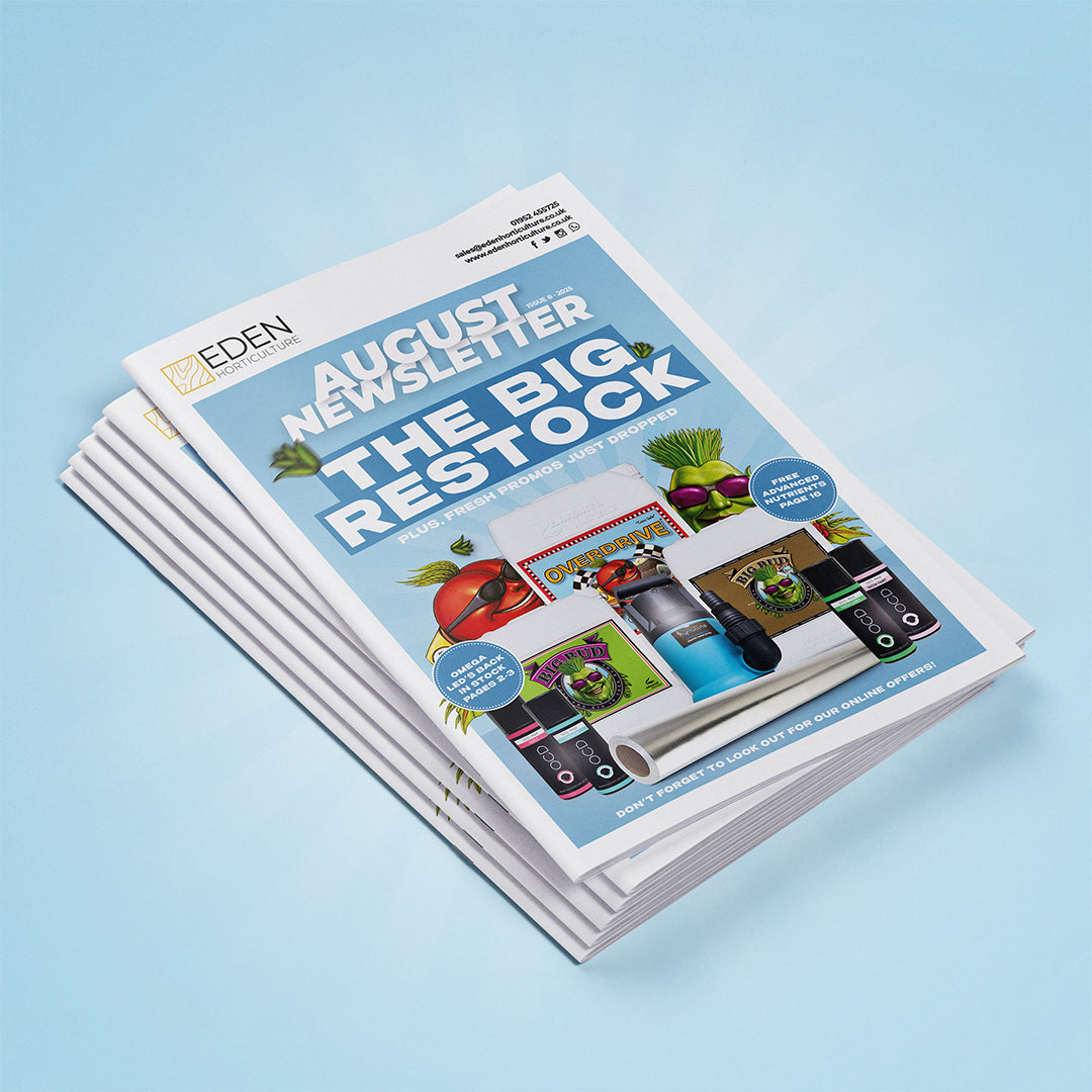 August Newsletter – Big Restocks, Huge Savings & Fresh Drops!