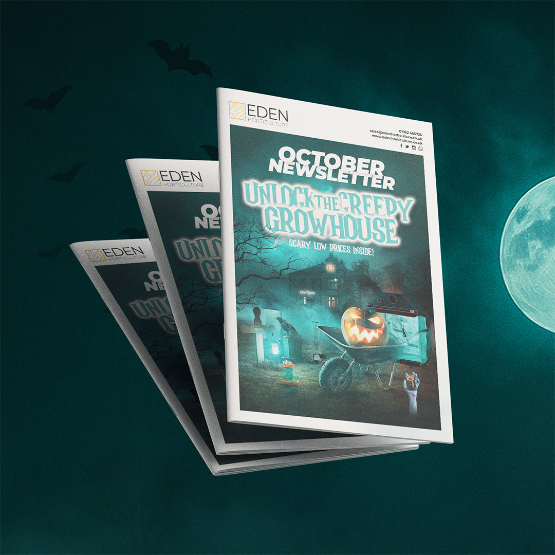 October Newsletter – Scary Good Deals You Can’t Miss!