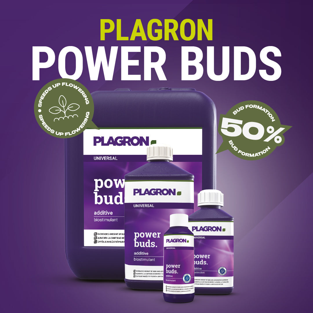 Plagron Power Buds — FREE THIS MONTH