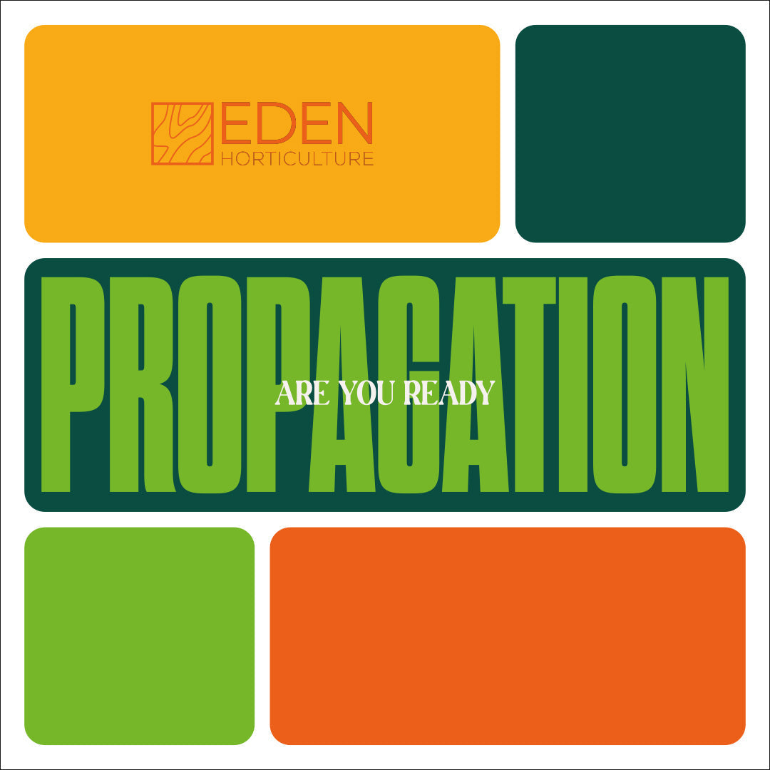 Propagation: Are You Ready? The Essentials for a Strong Start