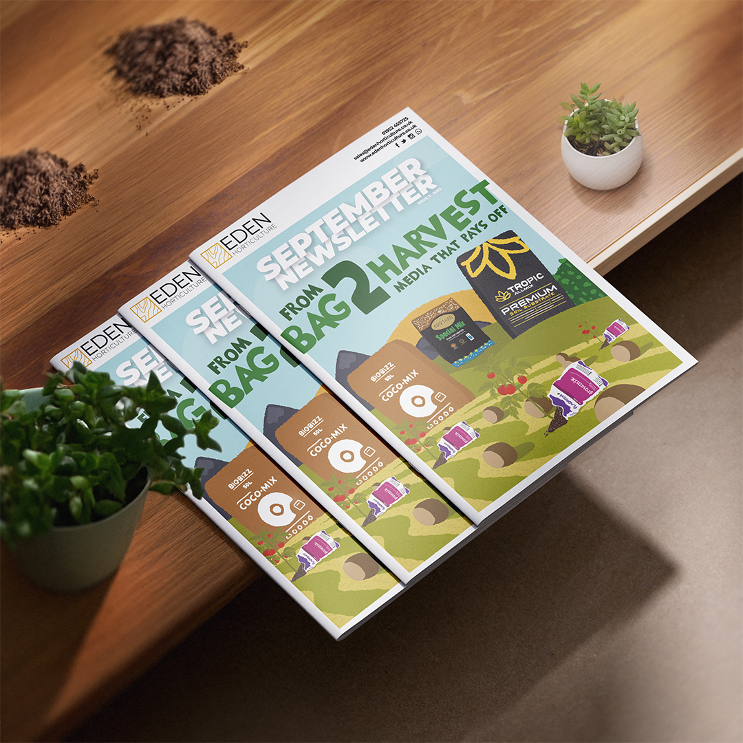 September Newsletter