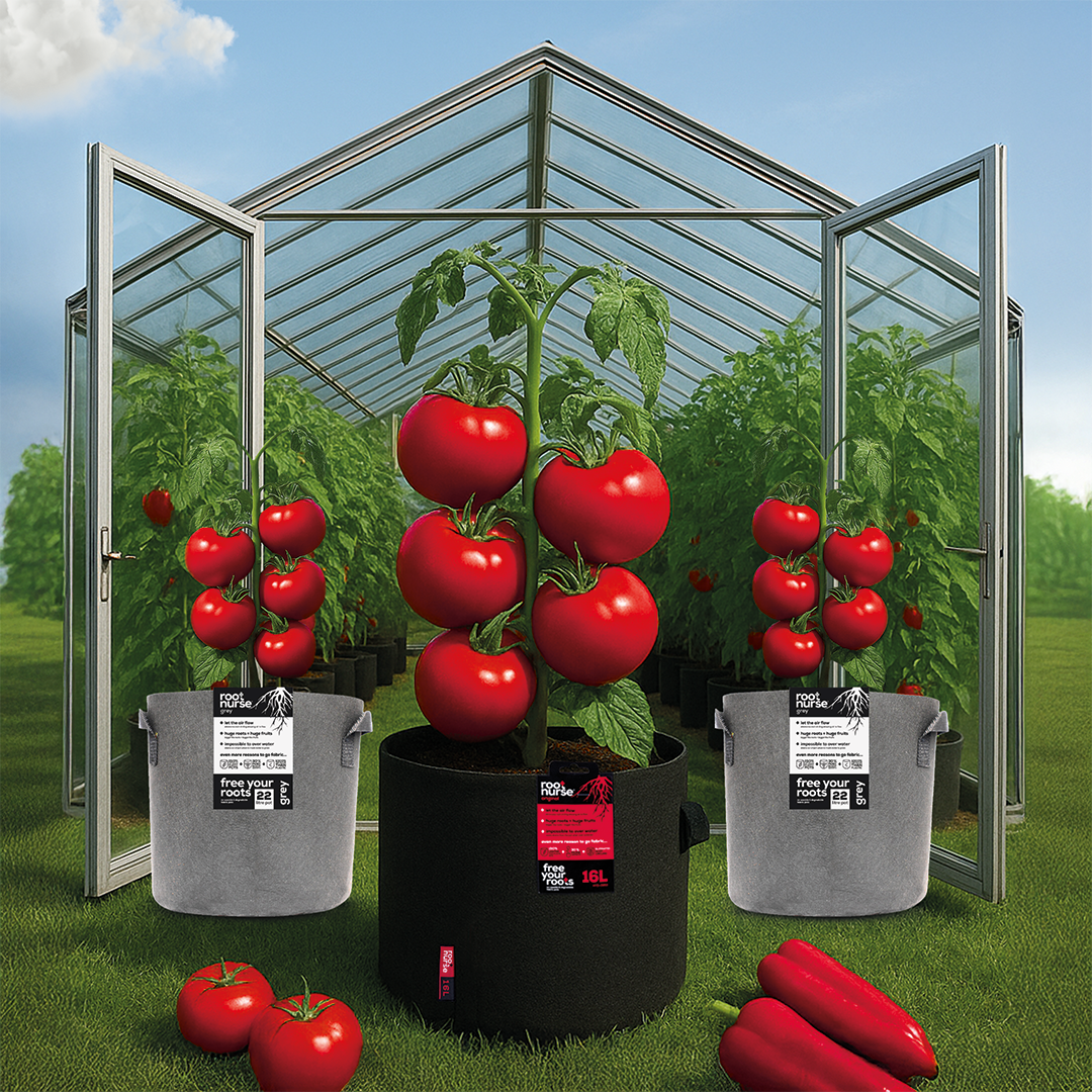 September Special: Buy 100 Root Nurse Pots, Get 20 Free!