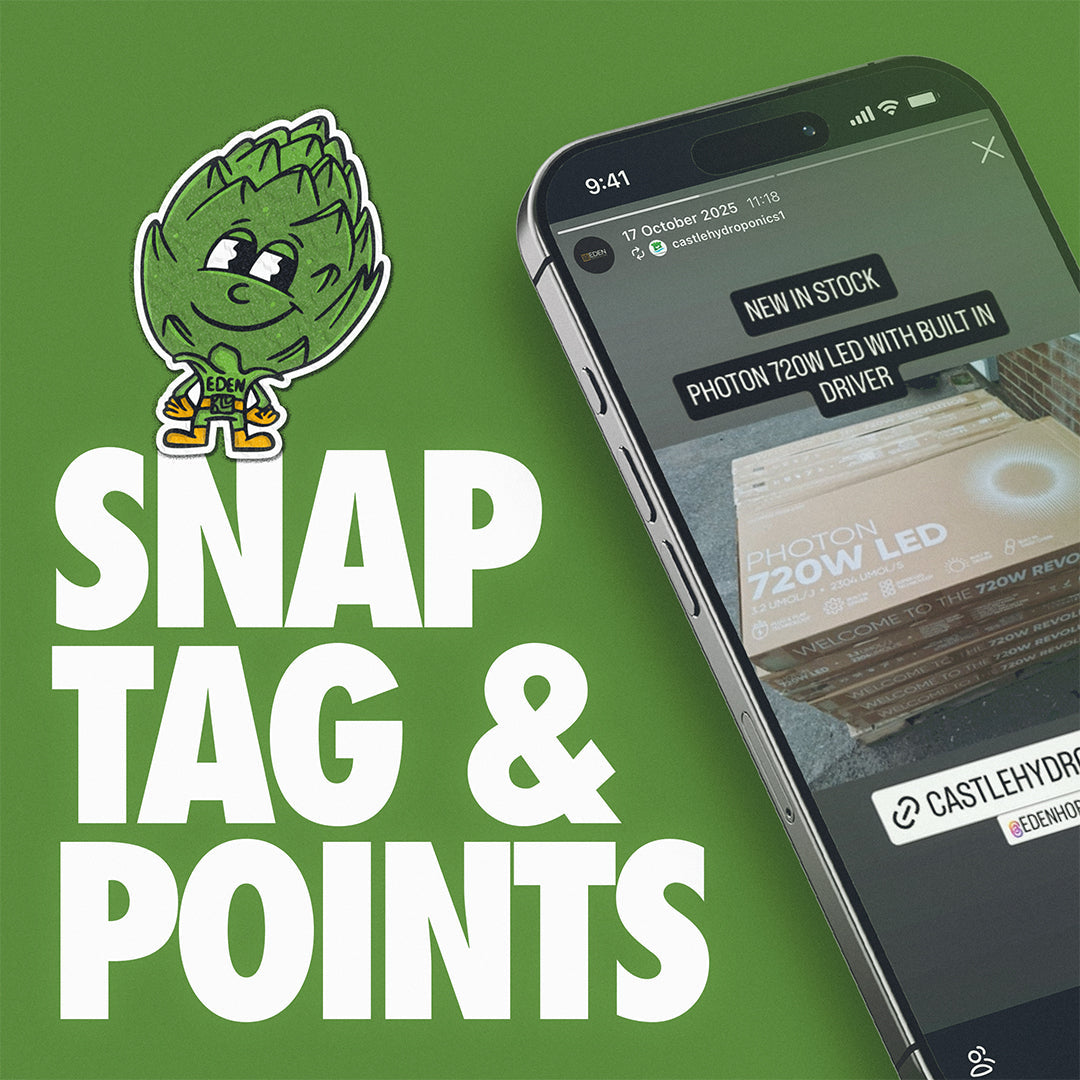 Snap, Tag & Points – Turn Every Order Into Rewards