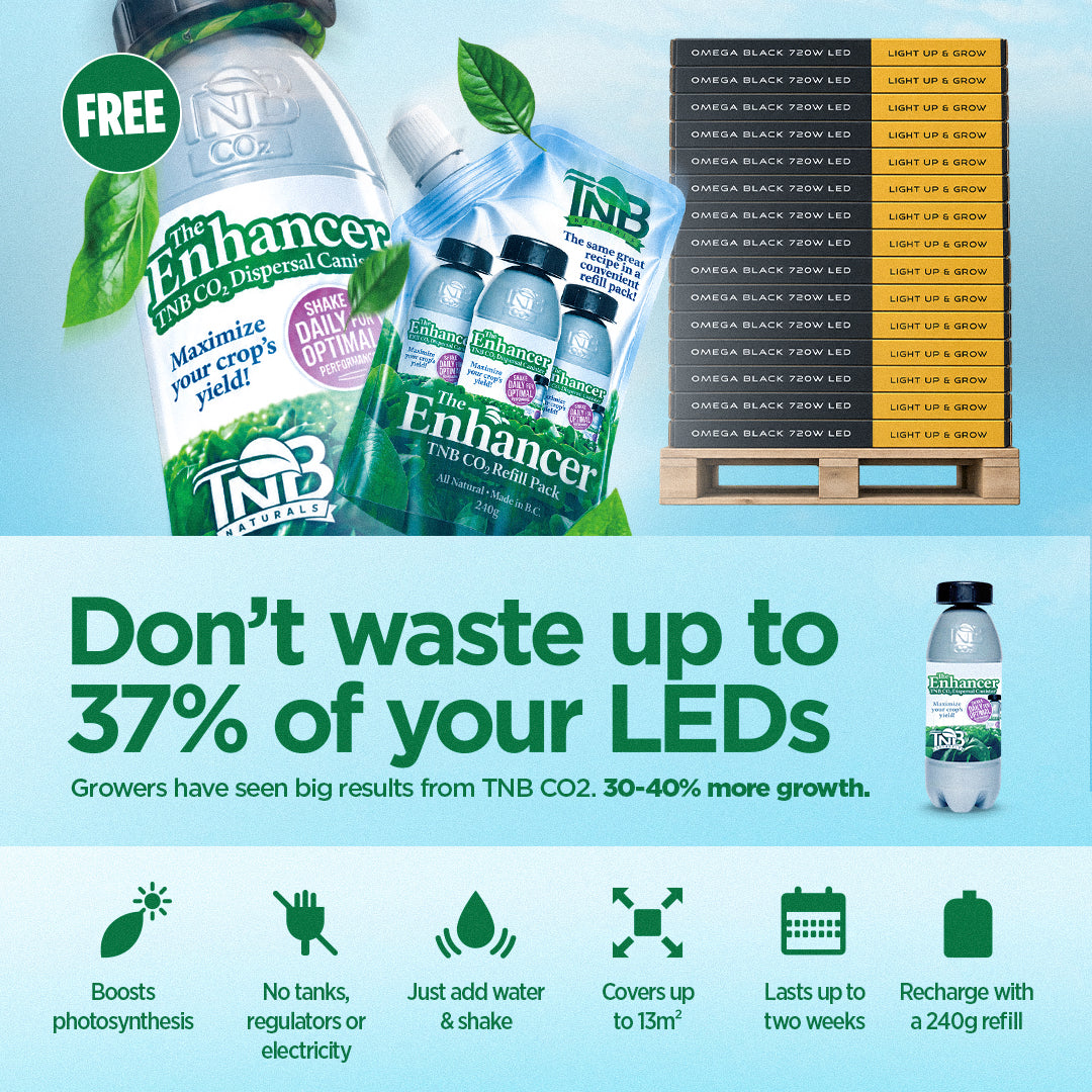 🌬️ CO2 & LED Grow Lights – Don't Waste Up to 37% of Your Light with TNB The Enhancer