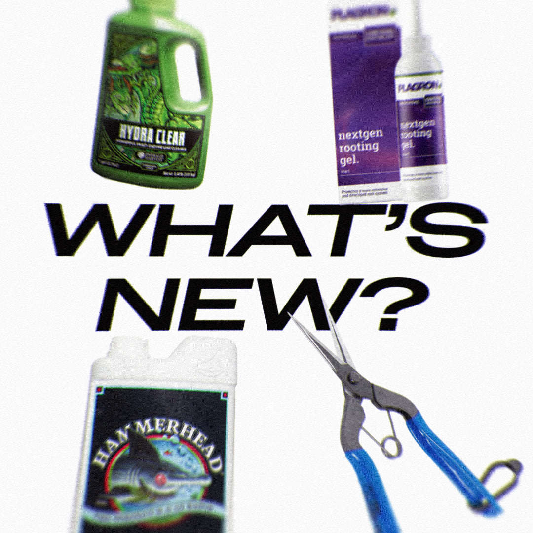 What's New at Eden this May?