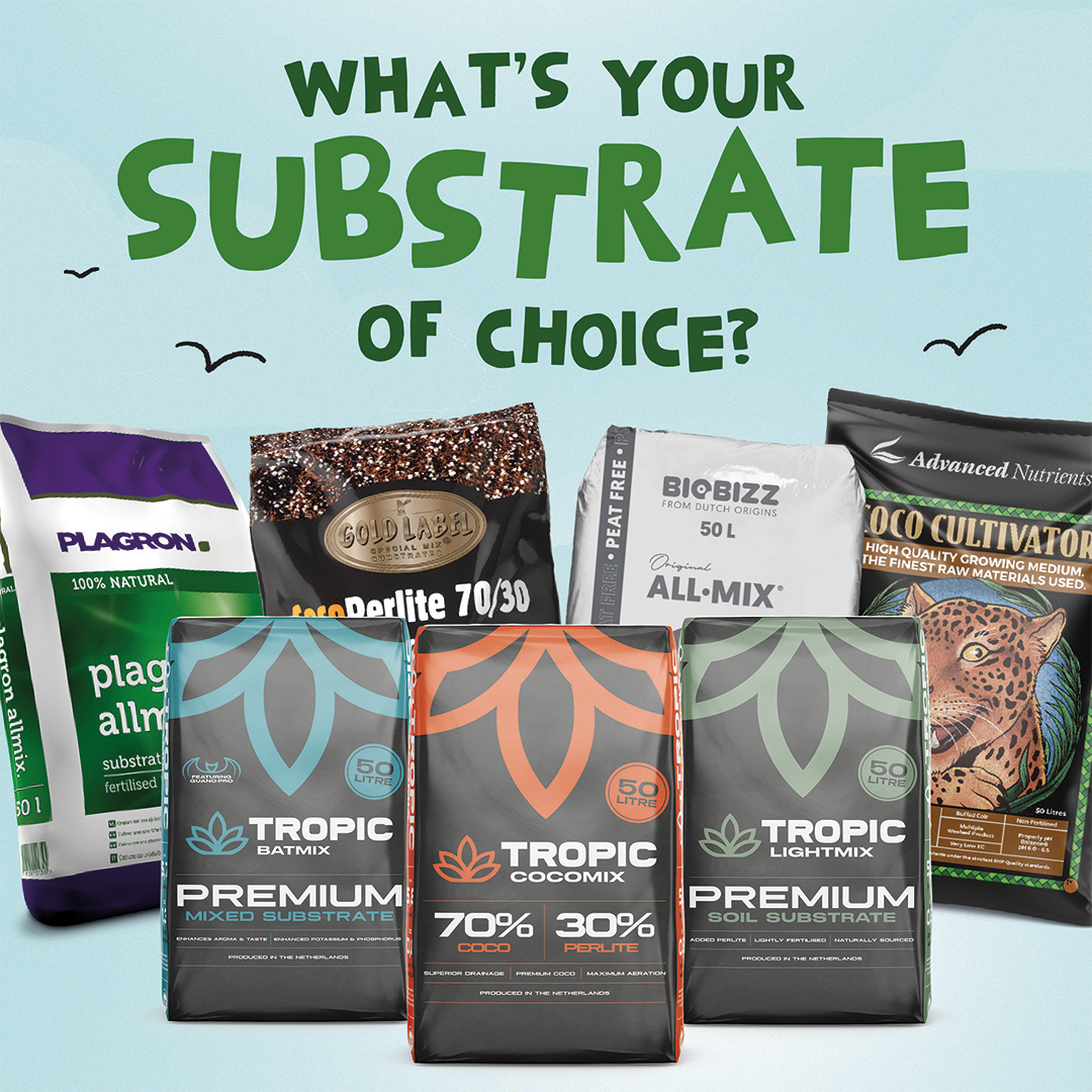 What's Your Substrate of Choice? Soil, Coco, Hydro & More
