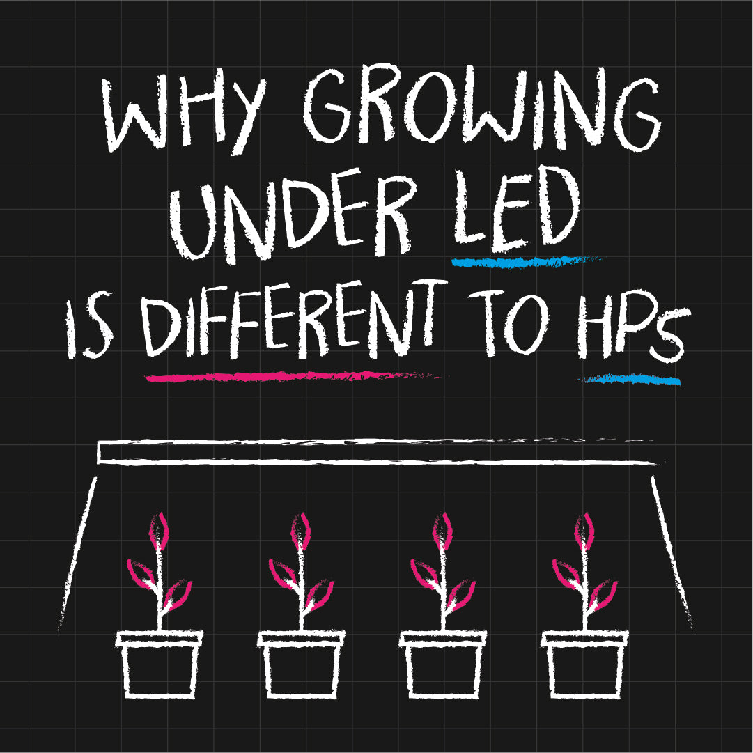 Why Growing Under LED is Different to HPS…
