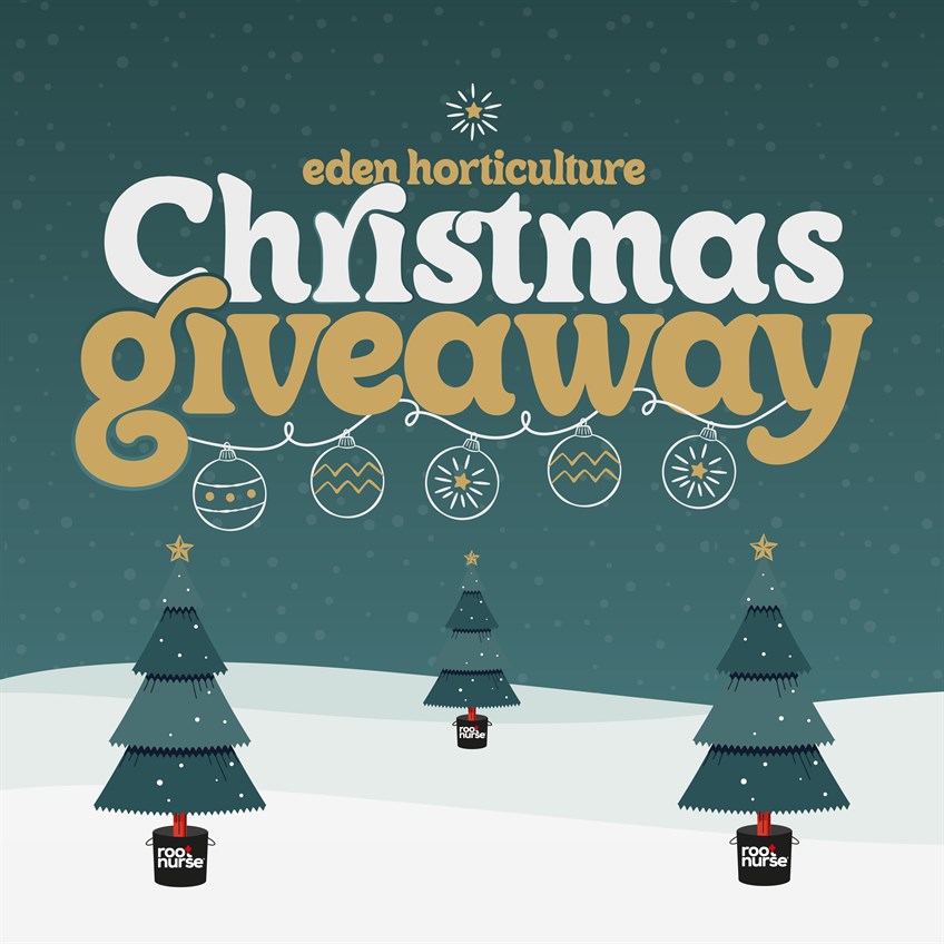 Eden's November-December Newsletter