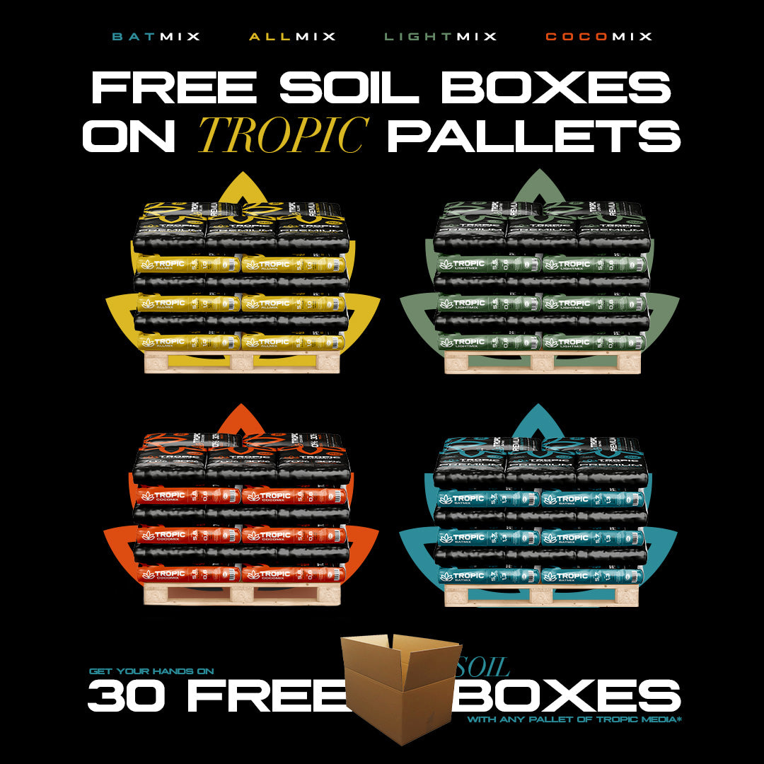 30 free soil boxes with Tropic Media pallets