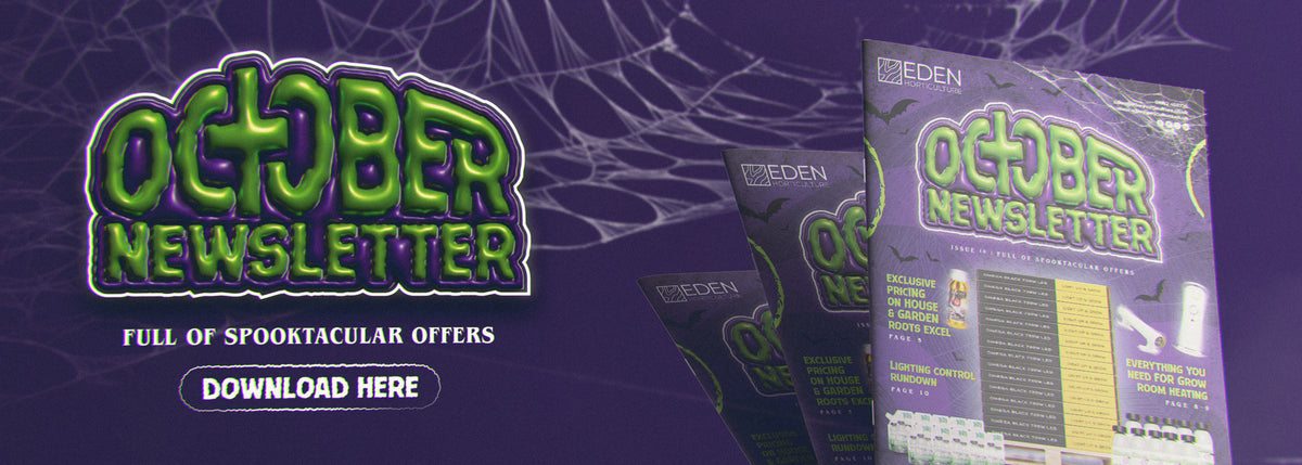 Eden's October Newsletter — Full of Spooktacular Offers