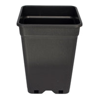 Square planter pot, dark textured plastic with top rim and side drainage slots