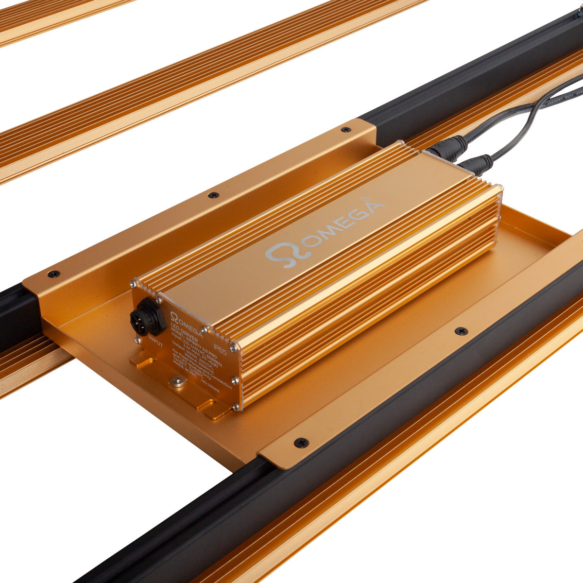 Omega Infinity 600W 3.0 Pro LED