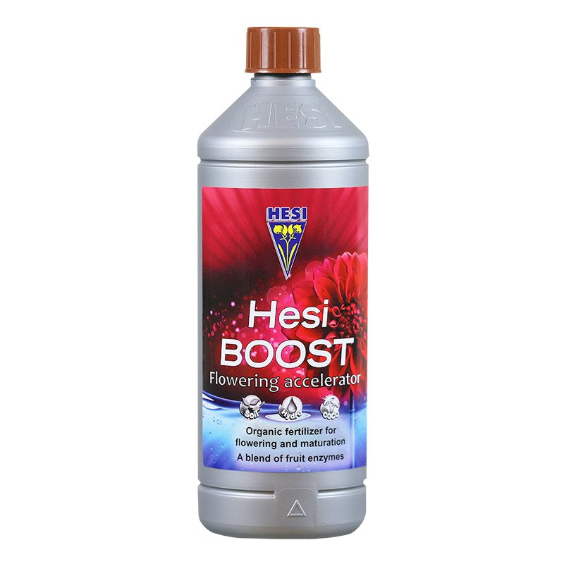 Hesi Boost