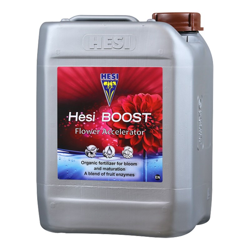 Hesi Boost