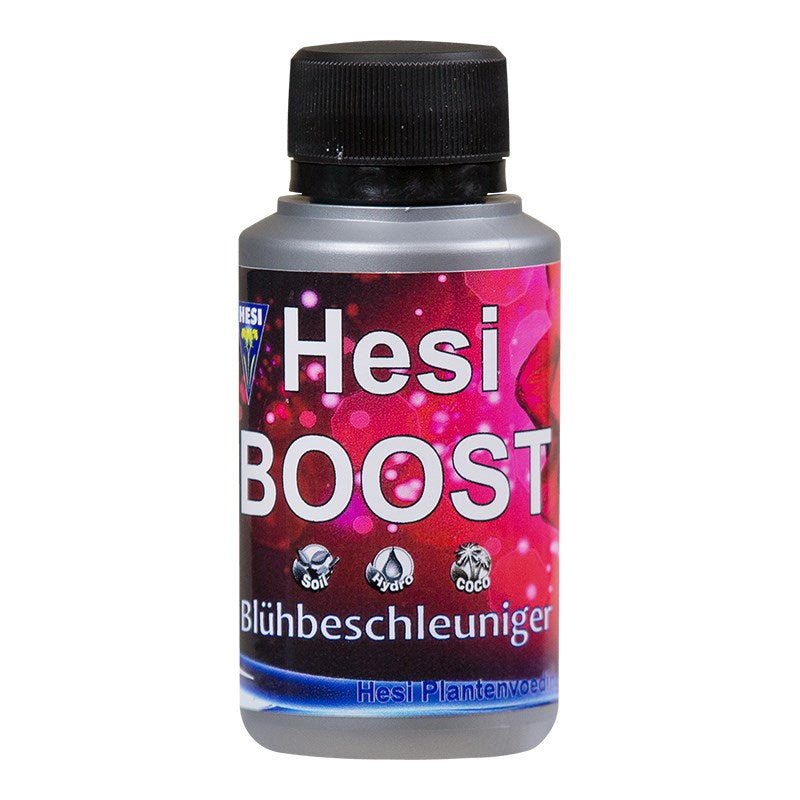 Hesi Boost