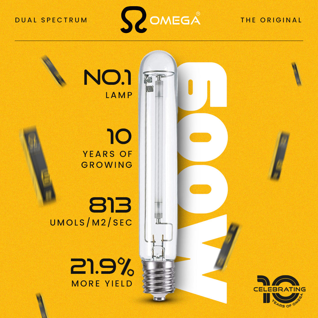 Celebrating 10 Years of the Omega 600W Duel Spectrum Lamp!