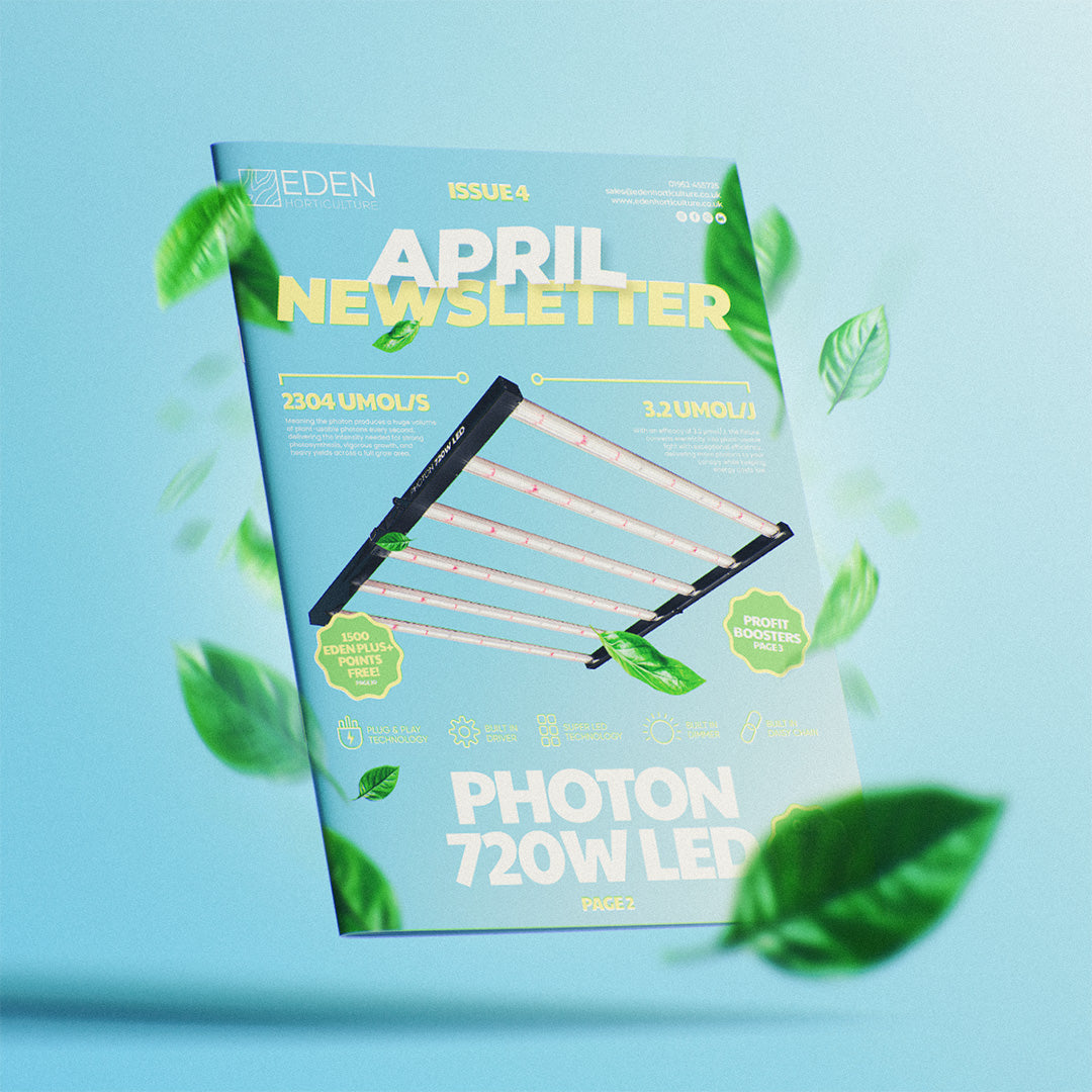 Nieuwsbrief van april – Grotere beloningen, betere waarde, sterkere groei