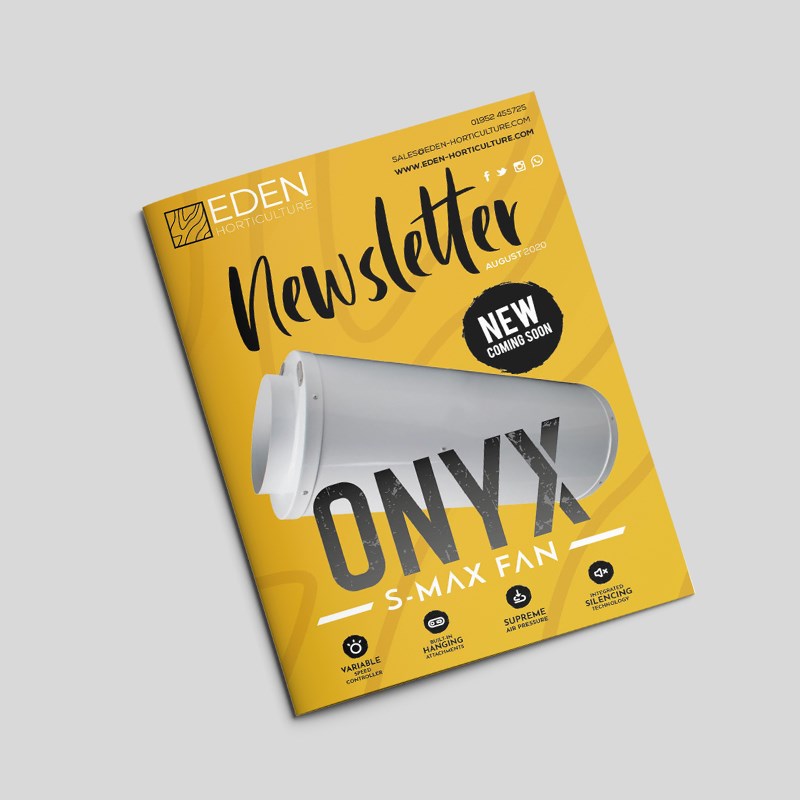 August Newsletter