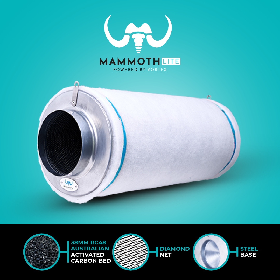 Mammoth Lite-filters