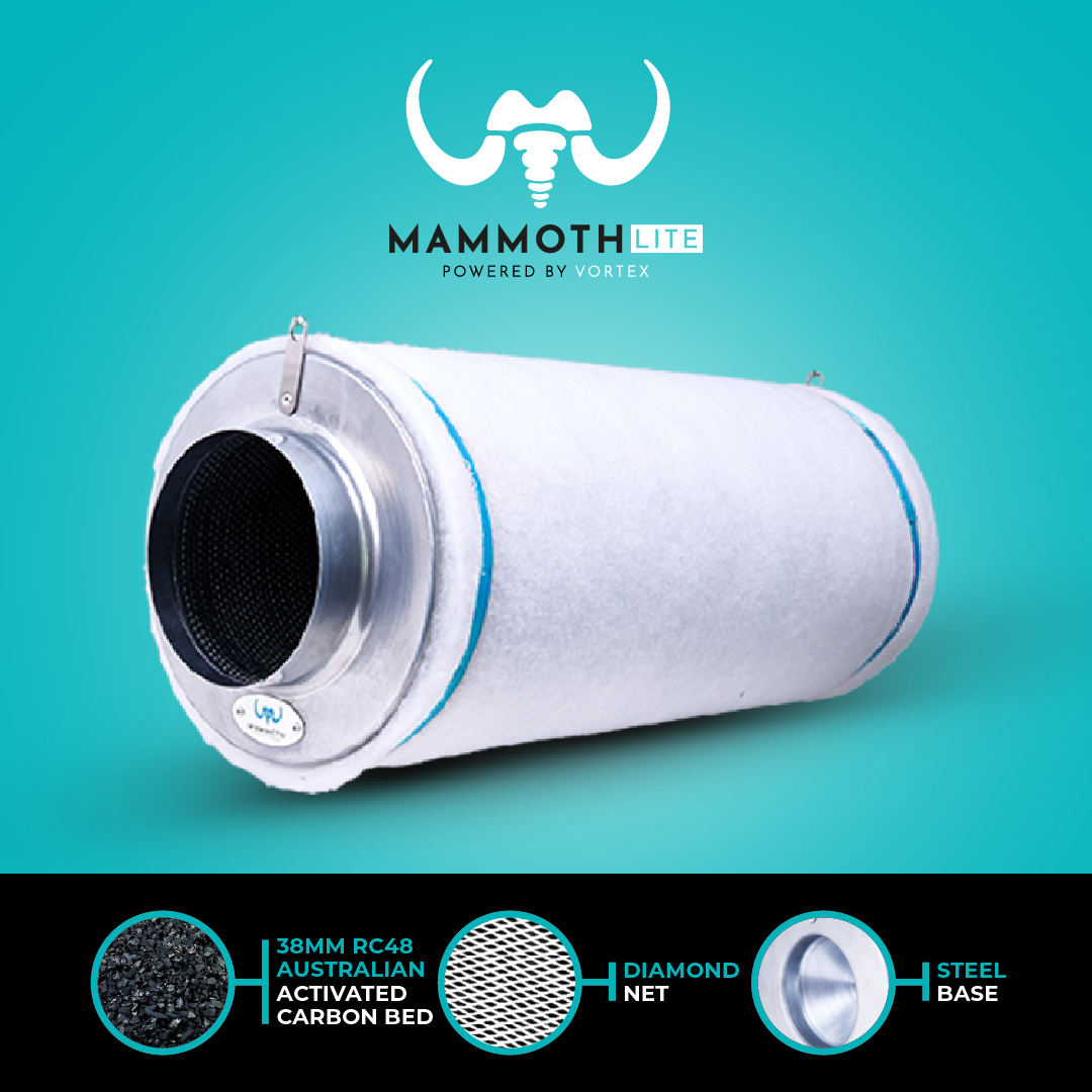 Mammoth Lite Filters