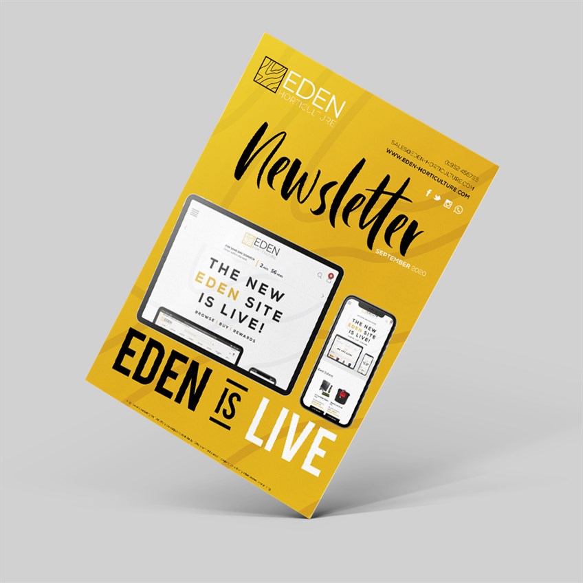September Newsletter