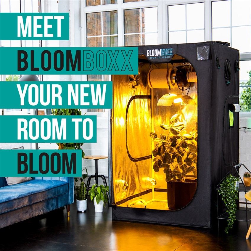 Introducing: BloomBoxx