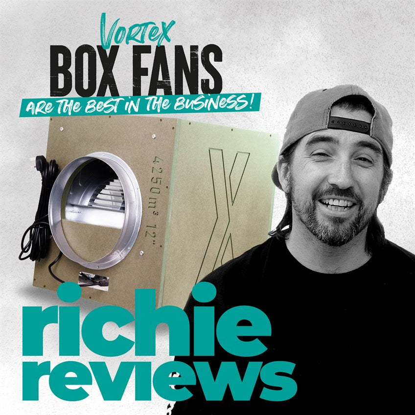 Richie Reviews Box Fans