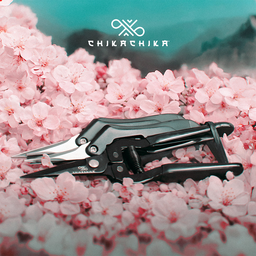 ChikaChika Shears – Precision You Can Rely On