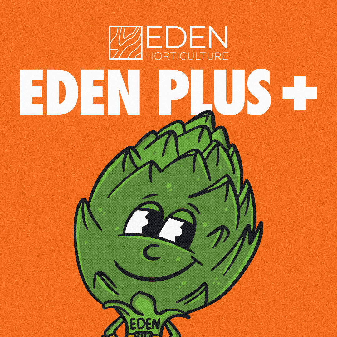Eden Plus+ – Everything You Need to Know