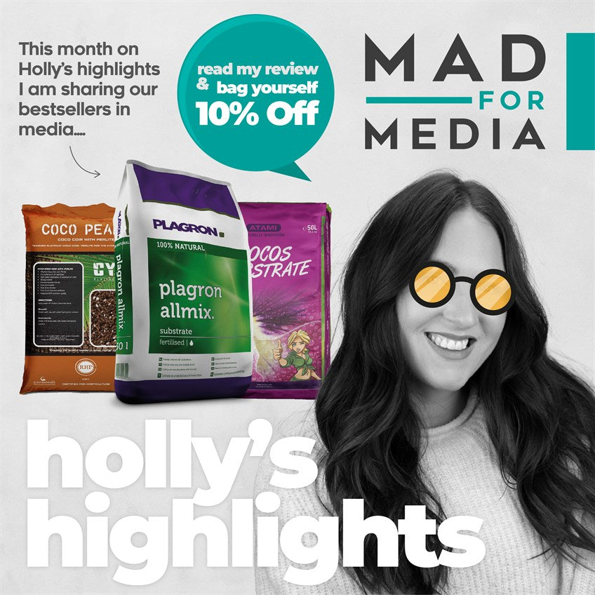 Holly’s Highlights