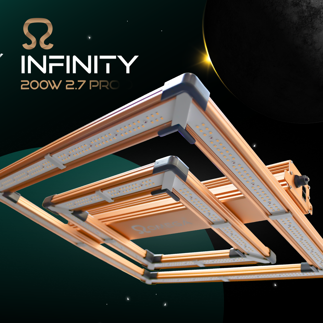 Omega 200W Oneindigheid