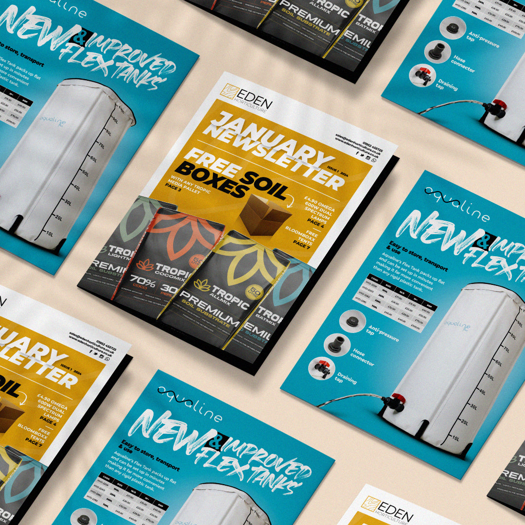 January Newsletter