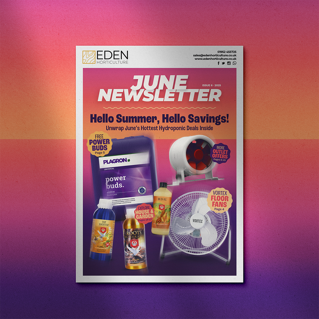 June Newsletter - Hello Summer, Hello Savings!