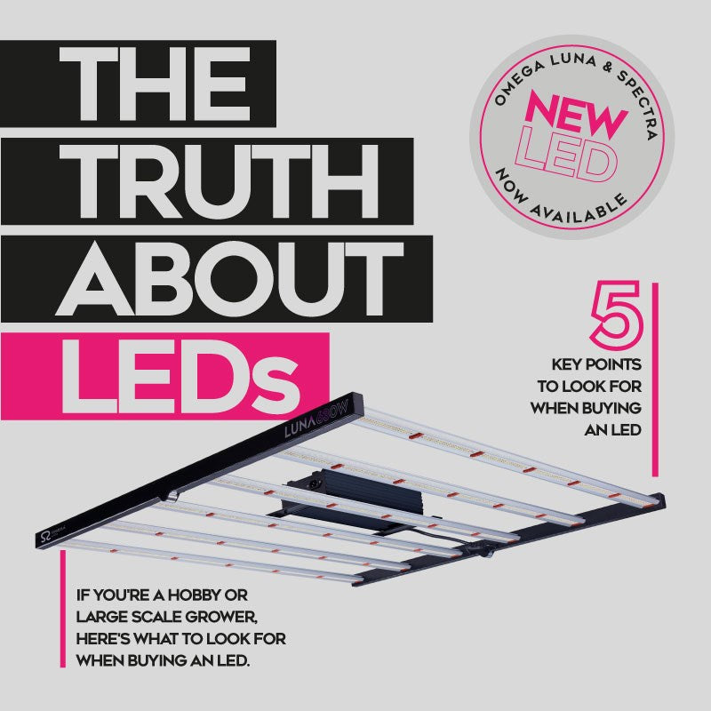 De waarheid over LED's
