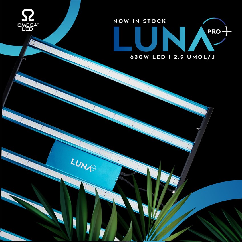 Meet The...Omega Luna Pro+