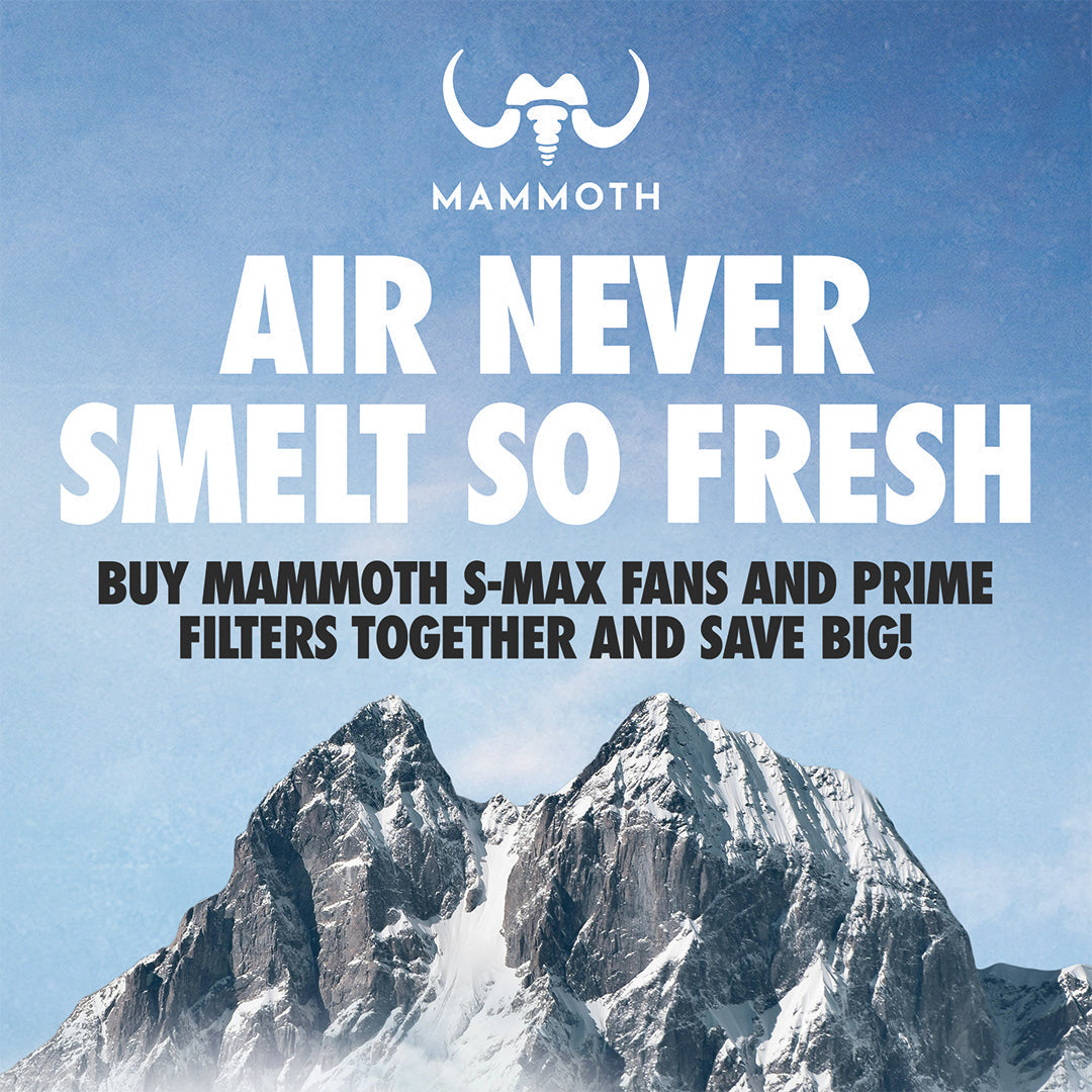 Snowy Mountains with 'Air Never Smelt So Fresh' text.